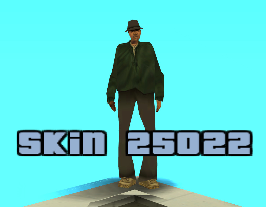 skin_25022.jpg