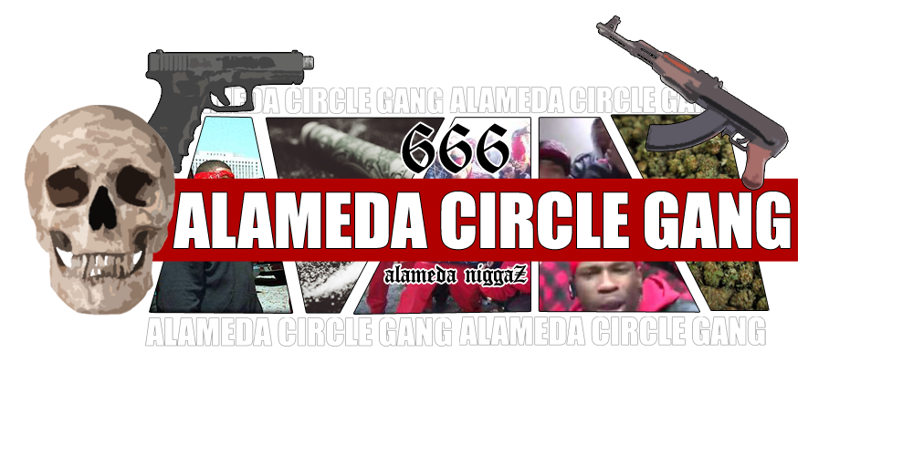 alameda.png.de5cce28912be351fb64e4b8cd04602c.png