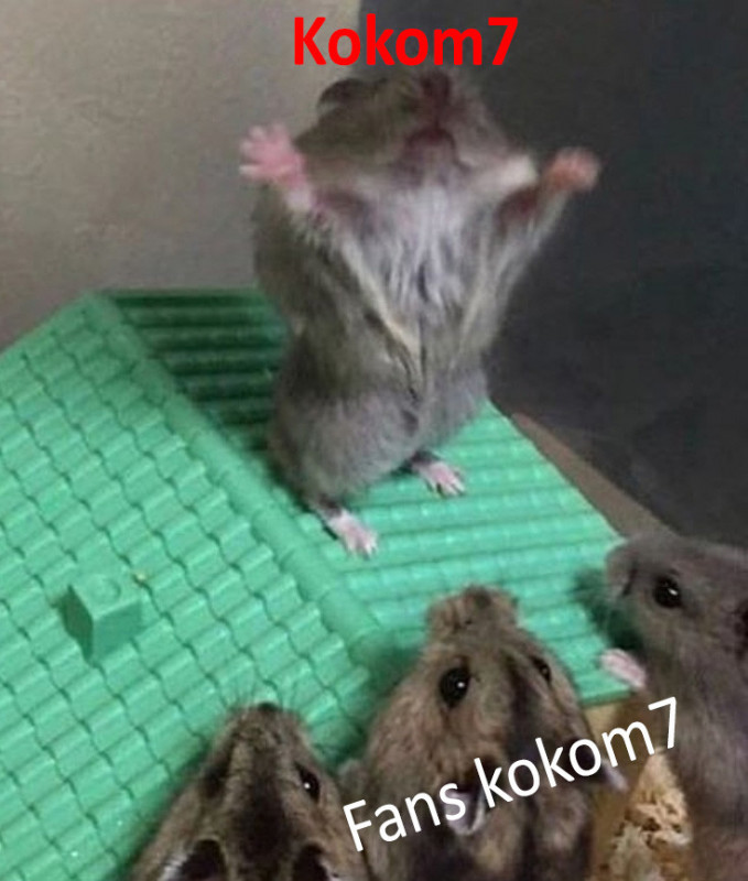cocom2.jpg