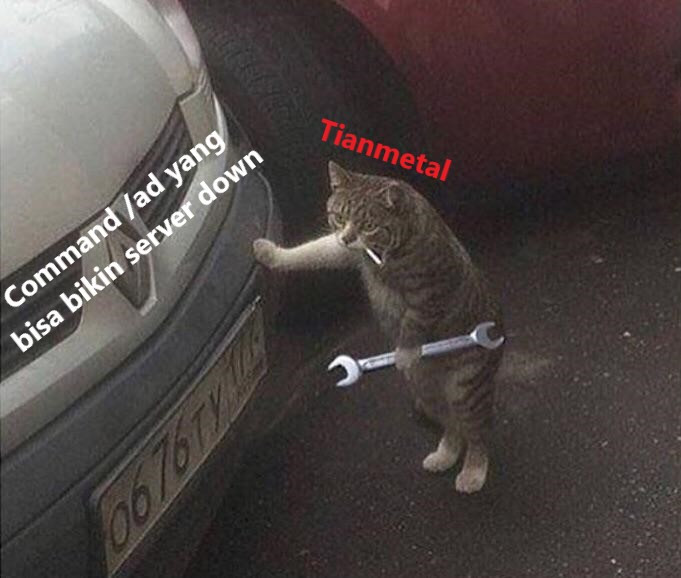 slashad2.jpg