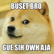 image.jpeg.b378c5da6e048224f3d4bebfd9ad110a.jpeg