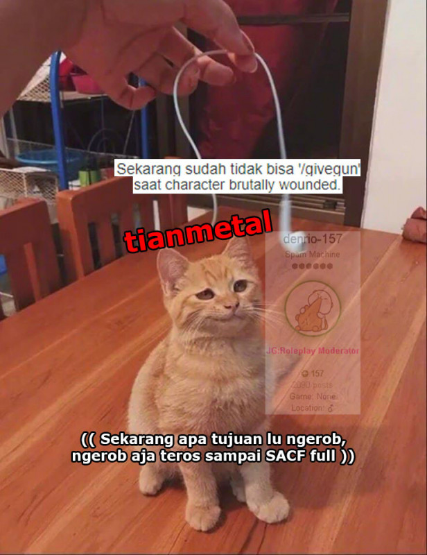 meme 92.jpg
