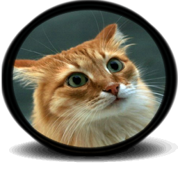 84.png.aa77f58176f155e33069f01aa29d9481.png