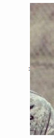 image.png.9770629419514b7e5754539b7bbd71f6.png