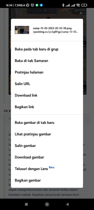 Screenshot_2022-03-14-16-54-55-321_com.android.chrome.jpg