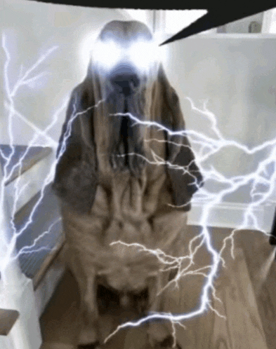 image.gif.0b1b024cac55a3a8eb3983201c6e9a5c.gif